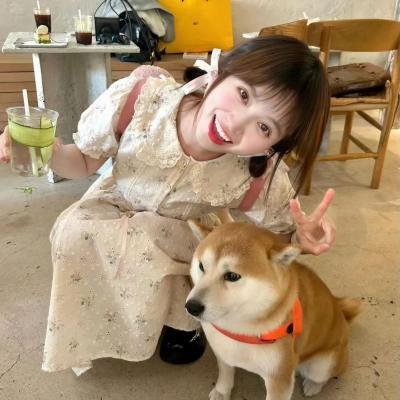 蔷薇的记号